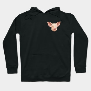 Pig Illustration Hoodie